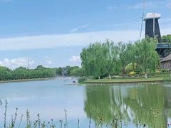 -上海鲜花港