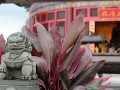 -广东圆玄道观