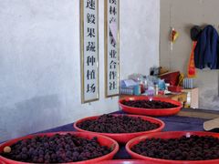 -达蓬山旅游度假区