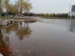 -西海子公园
