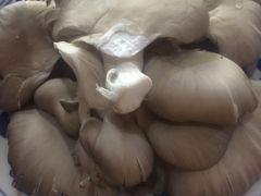 -鑫龙火锅城(青岛分店)