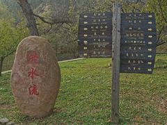 -金龙寺国家森林公园