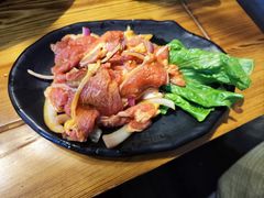 -四斤烤肉(东戴河孟家店)
