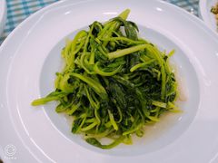 -朝郡酒家·粤菜(燕大星苑店)
