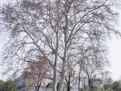 -南京东郊国宾馆
