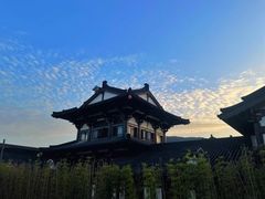 -大唐贡茶院