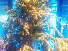 -逸馥荟(人广来福士店)
