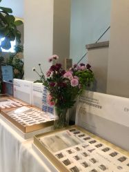 -阅年轻·AI家庭健康体质调理