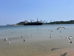 -海驴岛(荣成市)