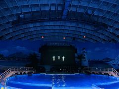 -海合安武汉极地海洋公园