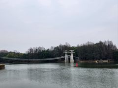 -东湖落雁景区