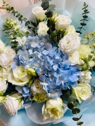 -美肤盾祛痘·问题肌头疗管理中心