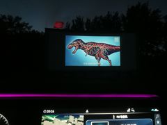 -枫花园汽车电影院(朝阳公园店)