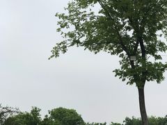 -鹅湖玫瑰文化园