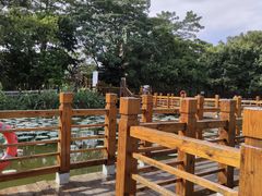 -大湾区中央湿地公园