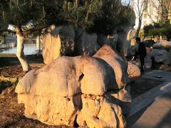 -西海子公园