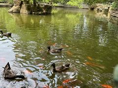 -东湖落雁景区