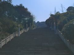 -铁山坪森林公园