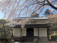 -常寂光寺