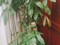 -梦都海鲜酒家(万达广场江桥店)