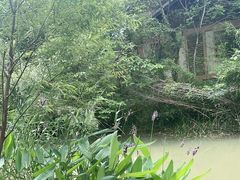 -洋湖国家湿地公园