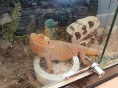 -南宫五洲植物乐园