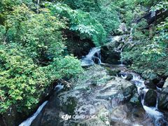 -大围山国家森林公园