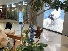 -野人先生Gelato(上海长宁龙之梦店)