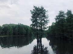 -尚湖风景区