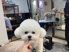 -宠物家(角门东店)