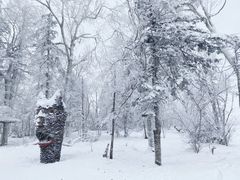 -雪谷