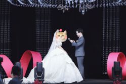 -伊布老裁缝西装礼服定制
