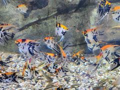 -石林冰雪海洋世界