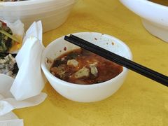 -胖大姐黄辣丁鱼庄(新津店)