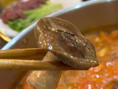 -乳仔牛牦牛汤锅 烤羊排(松潘古城店)