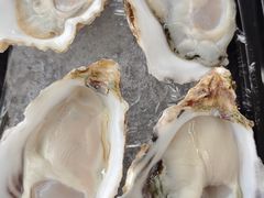 -冰之海挪威三文鱼(海珠店)