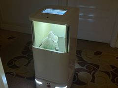 -阳光雷迪森广场酒店(中山东路店)