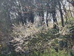 -大连植物园