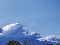 -洱海月湿地公园