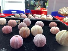 -摩登百货(岗顶店)