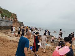 -仙人岛