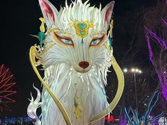 -淄博花灯齐彩城