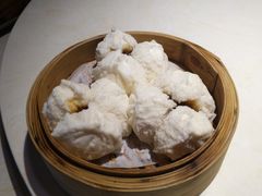 -点都德·毕德寮