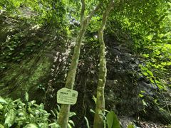 -海南白石岭旅游区