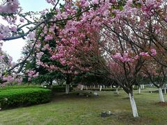 -白塘生态植物园