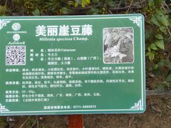 -广西壮族自治区药用植物园