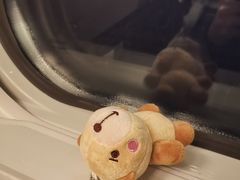 -皇后西斯汀(千姿汇店)