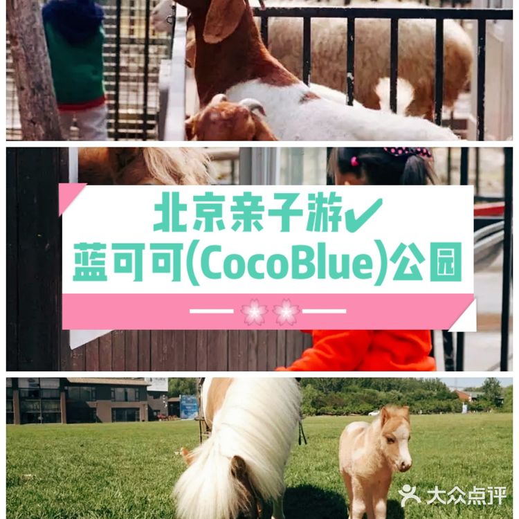 北京遛娃：蓝可可亲子乐园！分分钟想回到小时候！