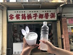 -洪馨椰子
