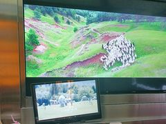 -河坝烧烤串城(金达莱店)
